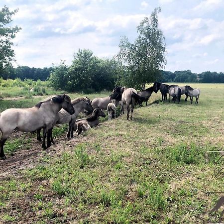 B&B De Konik Bourtange Zewnętrze zdjęcie